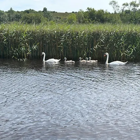 The At Lough Key - Luxury By The Water * Knockvicar