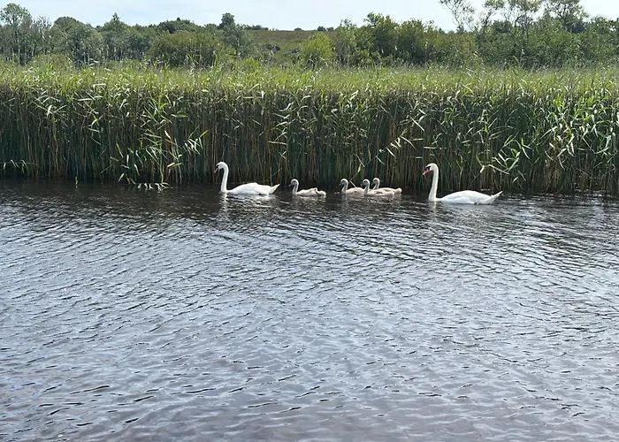 The At Lough Key - Luxury By The Water * Knockvicar
